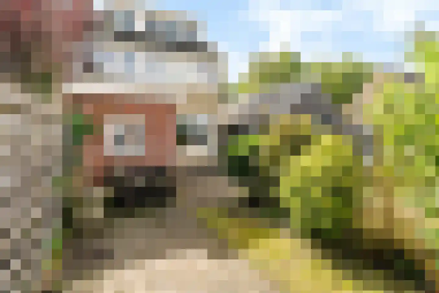 De Linebeammen 16 Houtigehage thumbnail 39