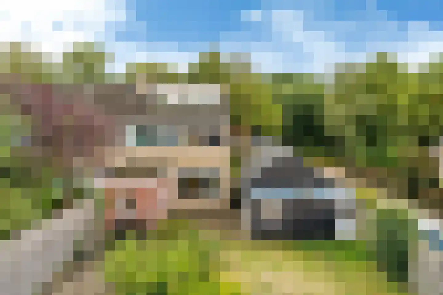 De Linebeammen 16 Houtigehage thumbnail 41