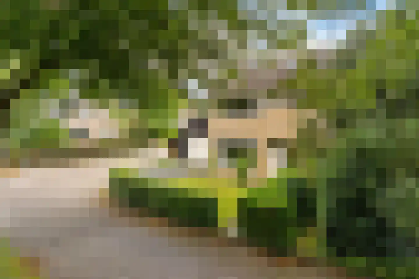De Linebeammen 16 Houtigehage thumbnail 43