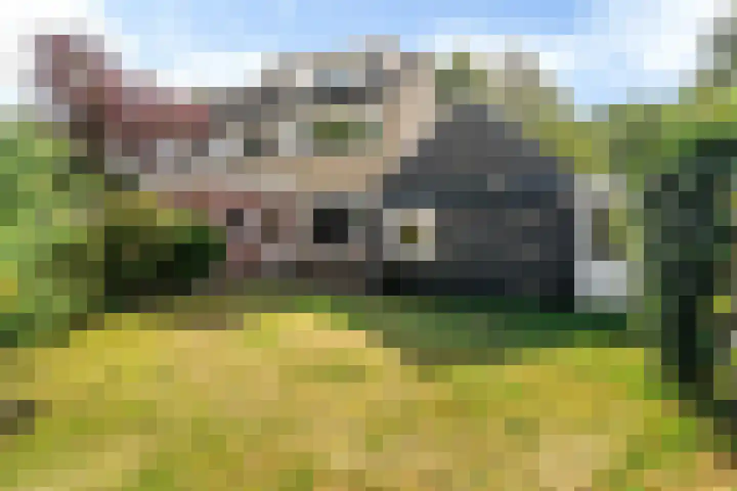 De Linebeammen 16 Houtigehage thumbnail 6