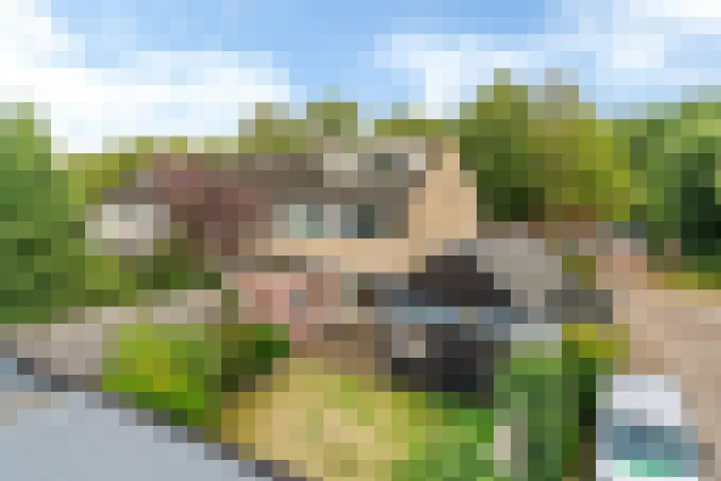 De Linebeammen 16 Houtigehage thumbnail 7