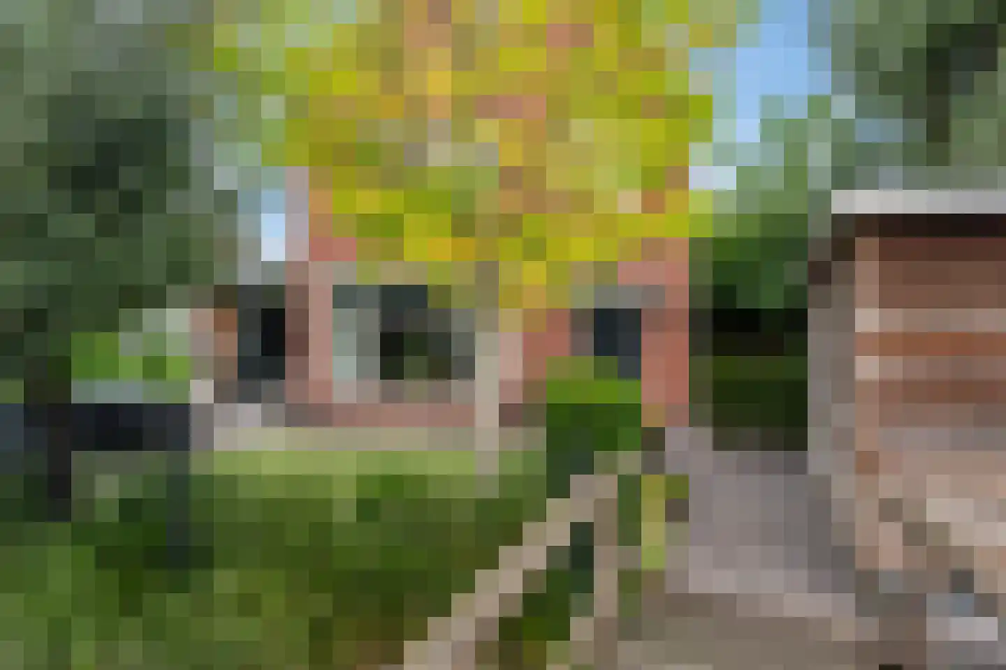 De Linge 12 Naaldwijk