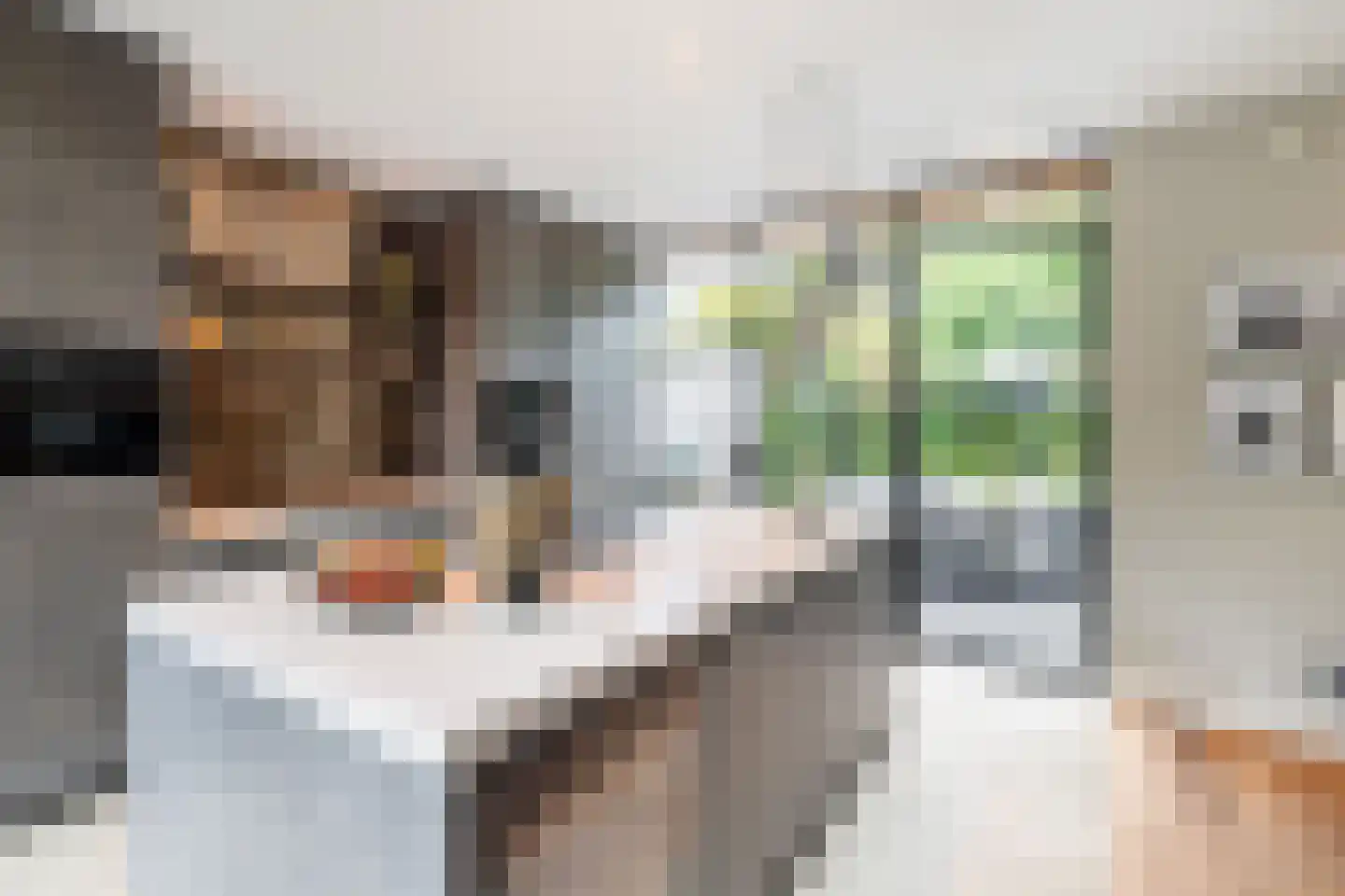De Linge 12 Naaldwijk thumbnail 16
