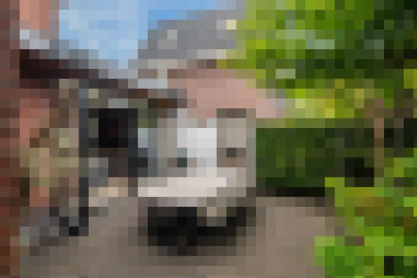 De Linge 12 Naaldwijk thumbnail 17