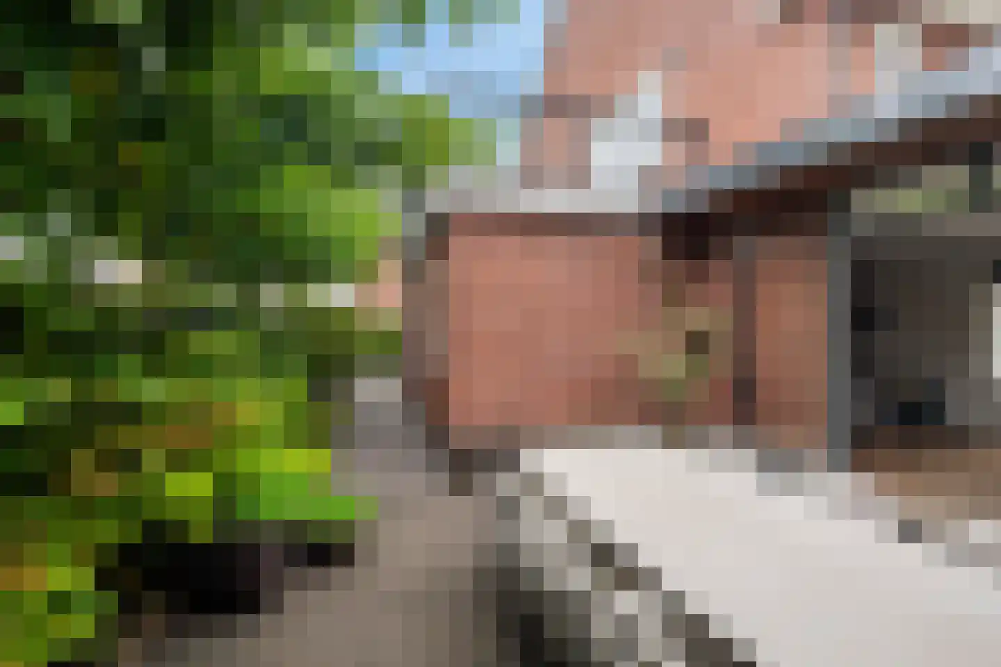 De Linge 12 Naaldwijk thumbnail 19