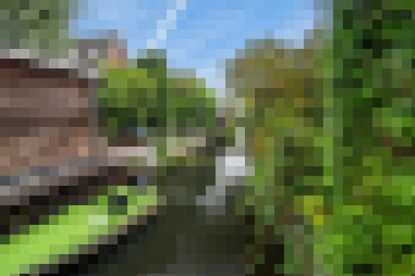 De Linge 12 Naaldwijk thumbnail 25