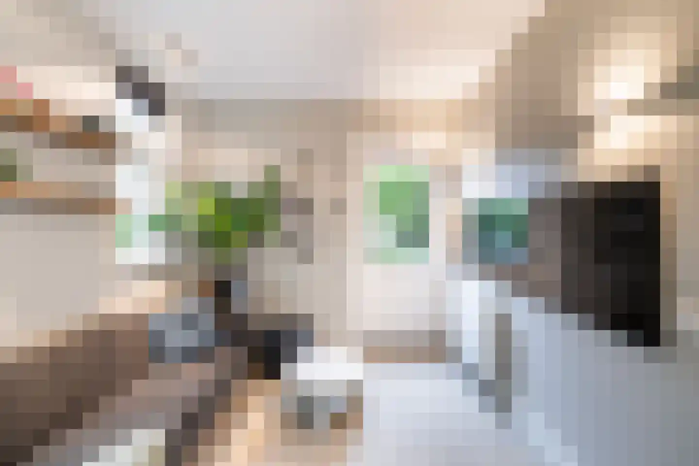 De Linge 12 Naaldwijk thumbnail 26