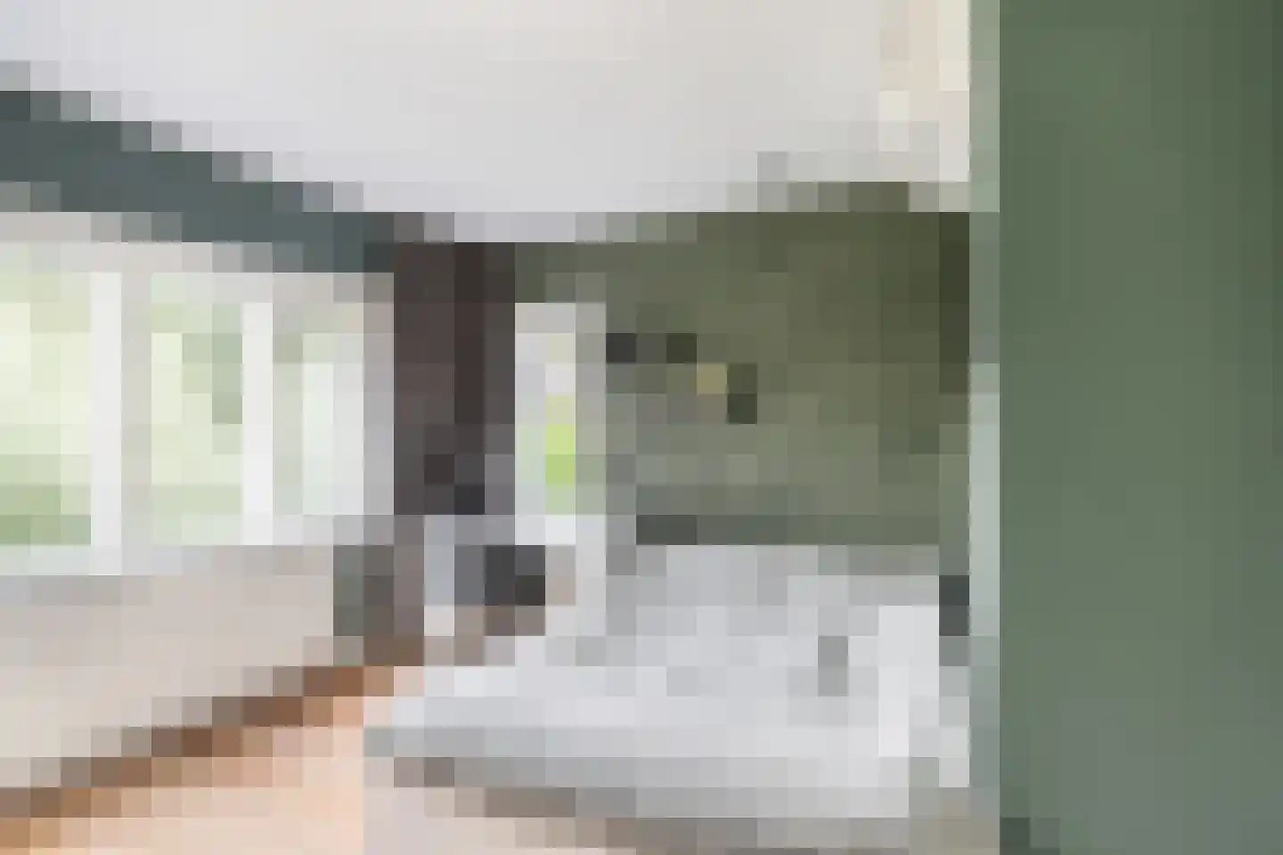 De Linge 12 Naaldwijk thumbnail 37