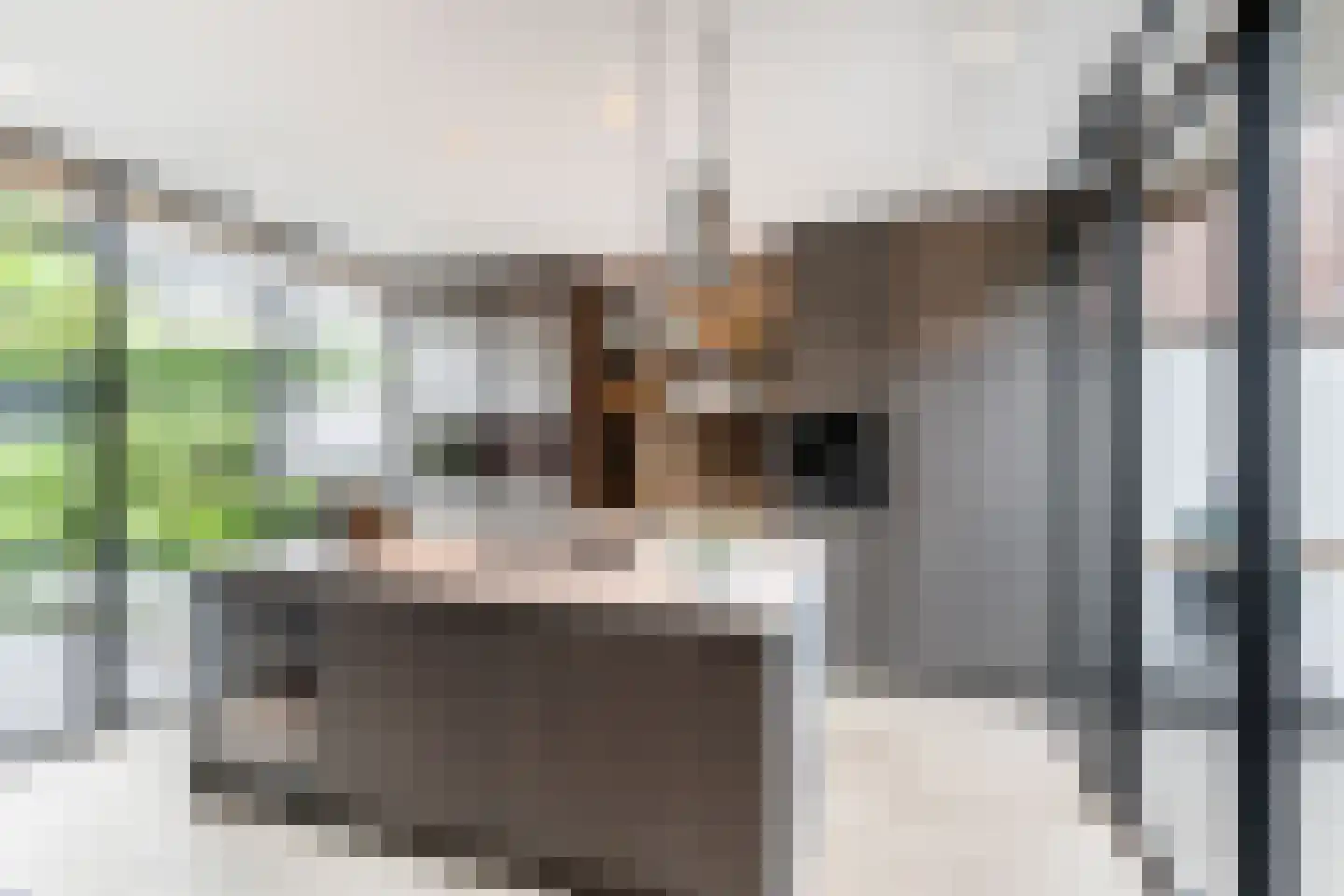 De Linge 12 Naaldwijk thumbnail 4