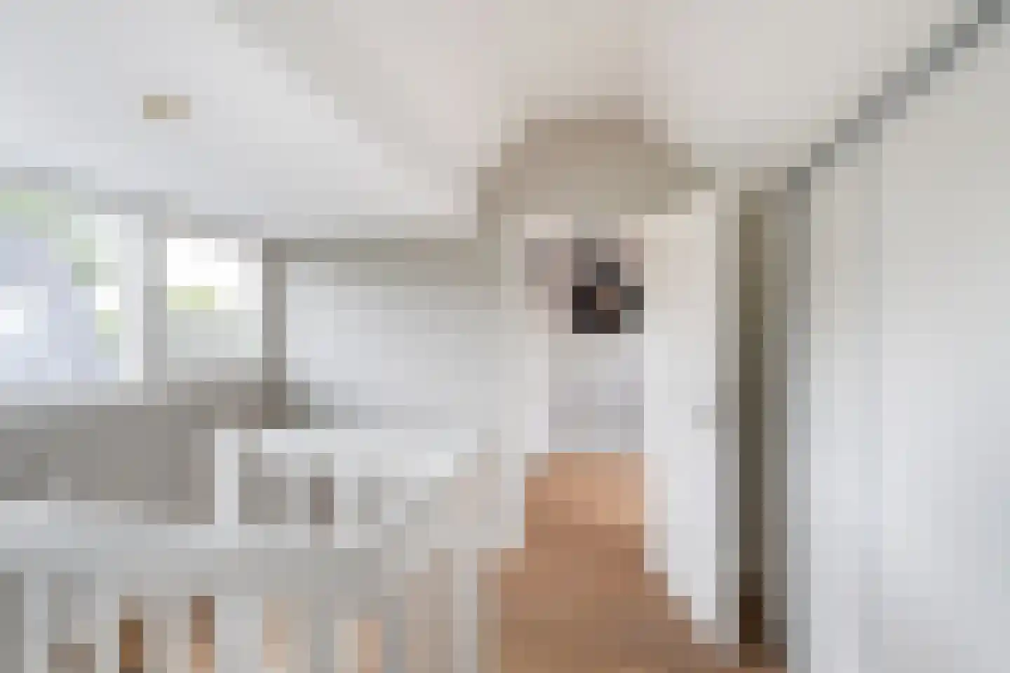 De Linge 12 Naaldwijk thumbnail 43