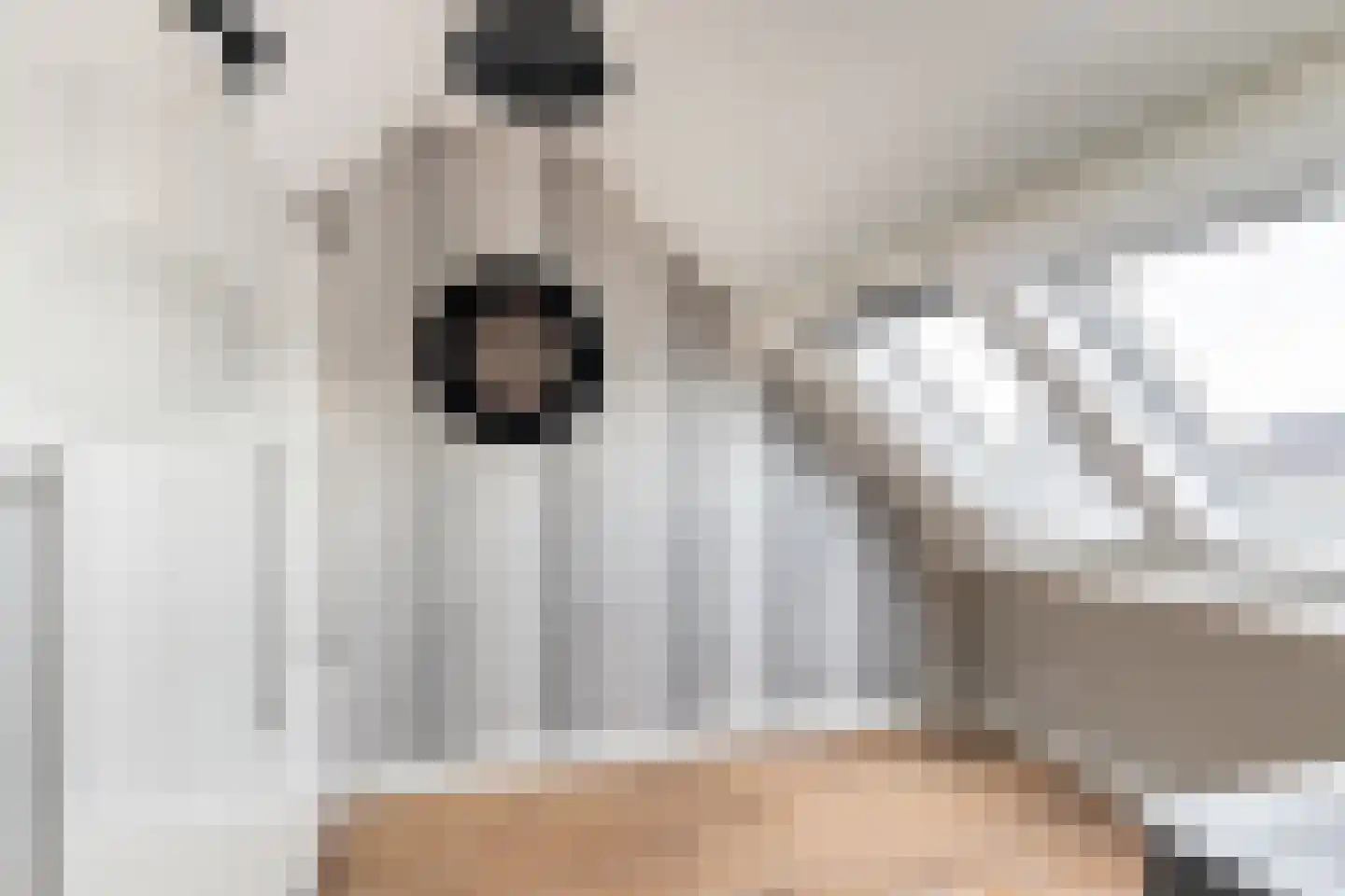 De Linge 12 Naaldwijk thumbnail 44
