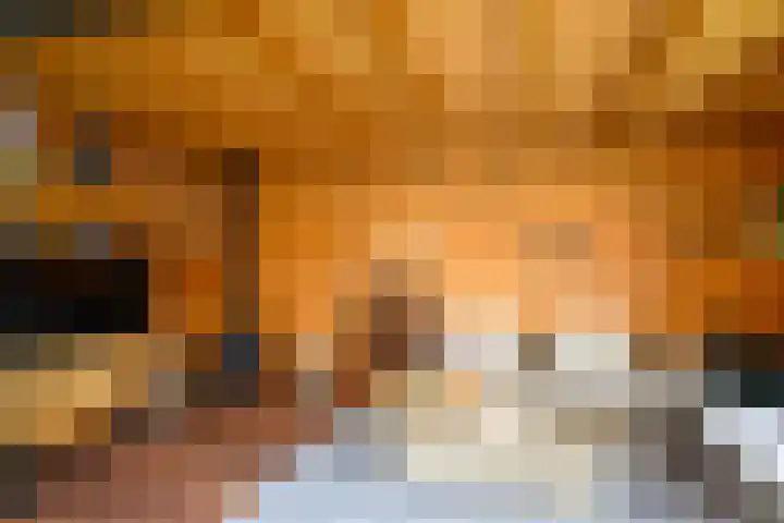 De Linge 17 Naaldwijk thumbnail 15