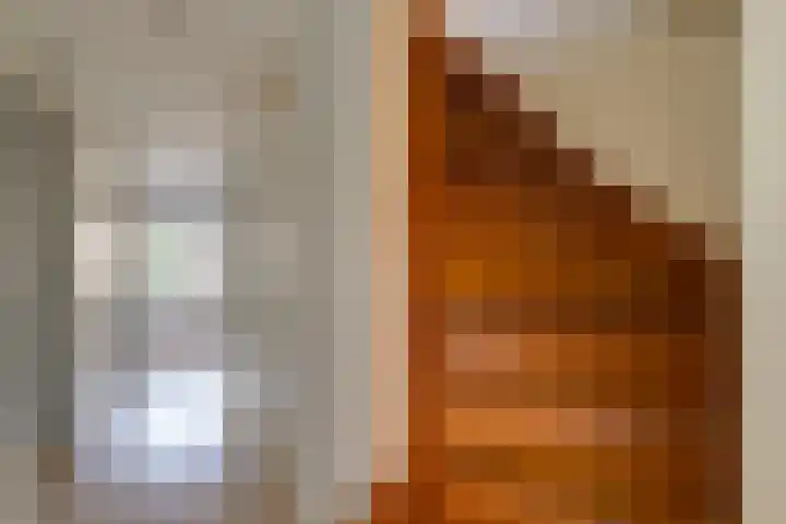 De Linge 17 Naaldwijk thumbnail 20