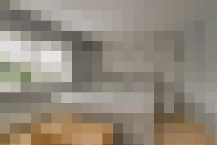 De Linge 17 Naaldwijk thumbnail 22