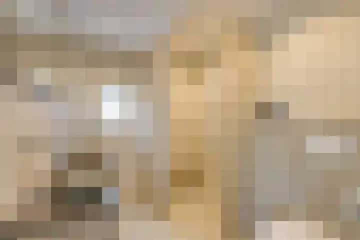 De Linge 17 Naaldwijk thumbnail 24