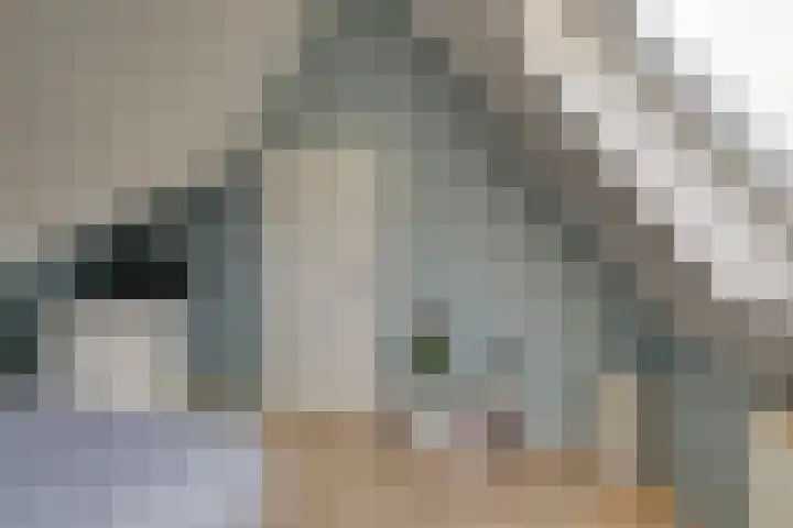 De Linge 17 Naaldwijk thumbnail 33