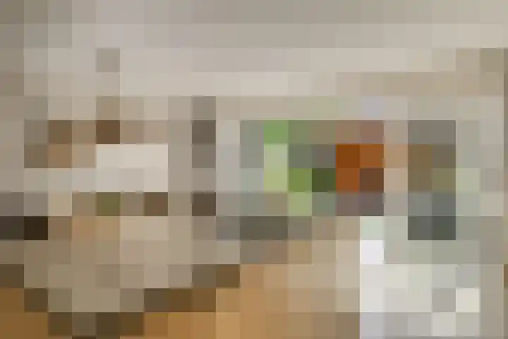 De Linge 17 Naaldwijk thumbnail 8