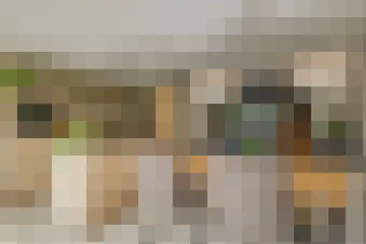 De Linge 17 Naaldwijk thumbnail 9