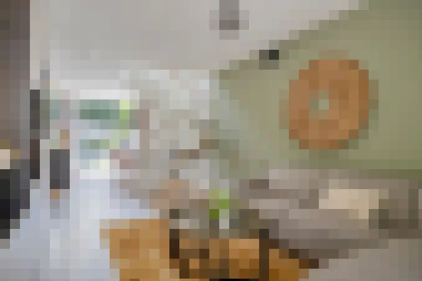 de Linge 17 Son en Breugel thumbnail 10