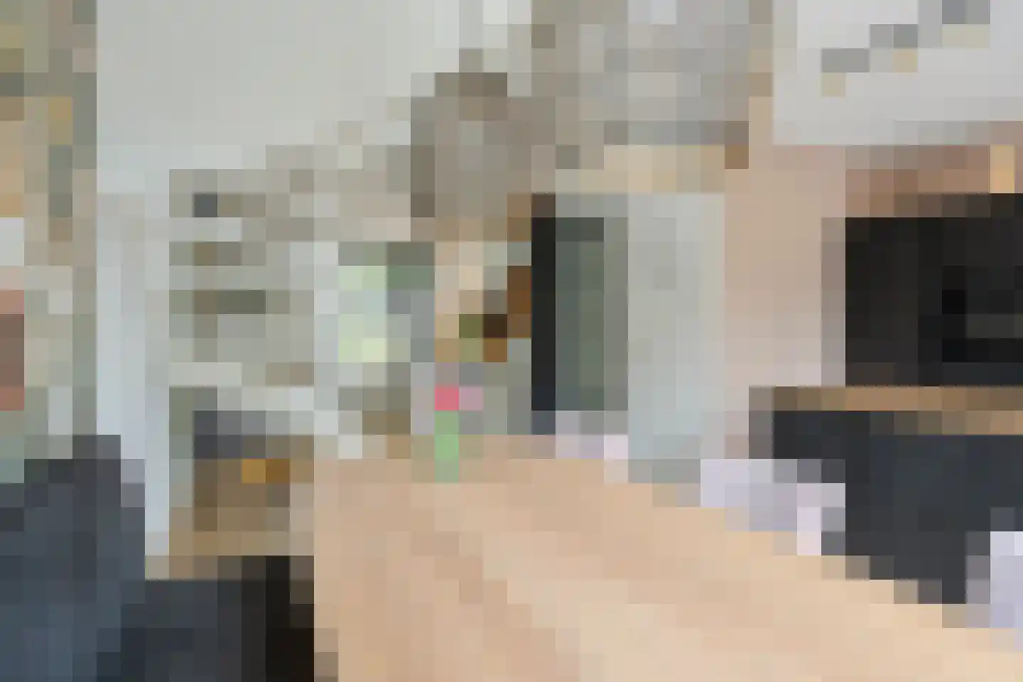 de Linge 17 Son en Breugel thumbnail 13