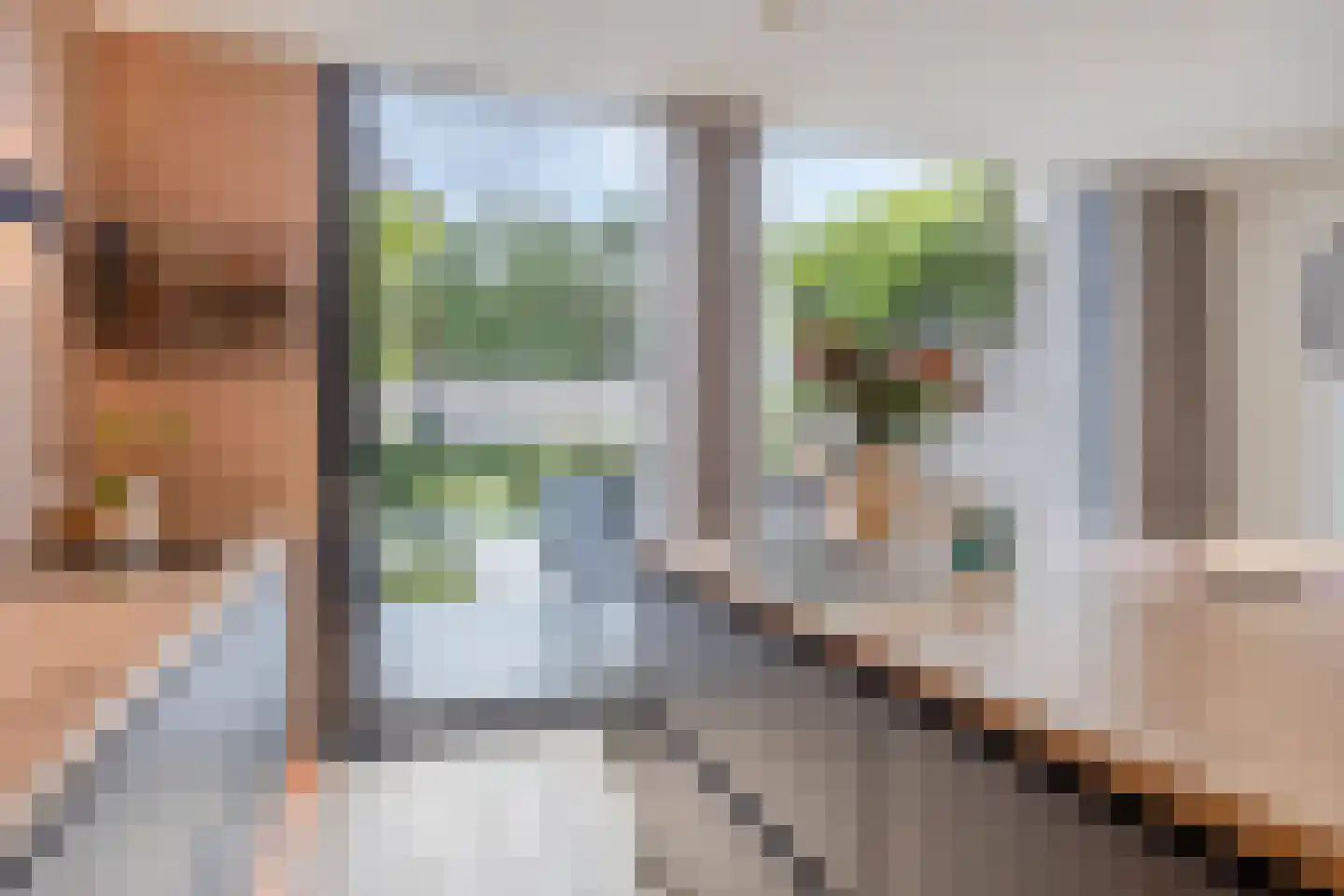 de Linge 17 Son en Breugel thumbnail 16