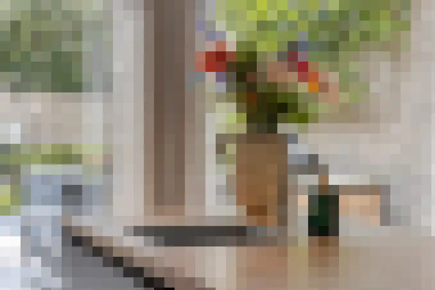 de Linge 17 Son en Breugel thumbnail 17