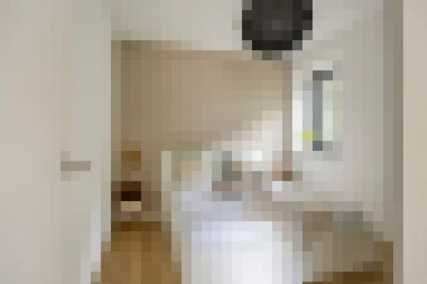 de Linge 17 Son en Breugel thumbnail 20