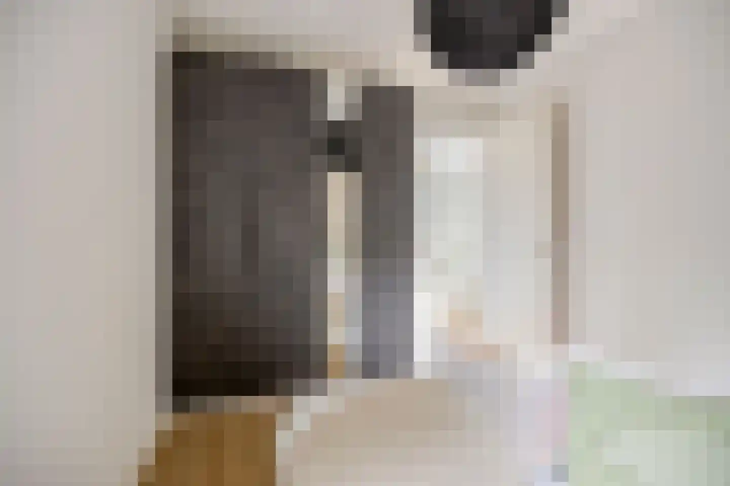de Linge 17 Son en Breugel thumbnail 21