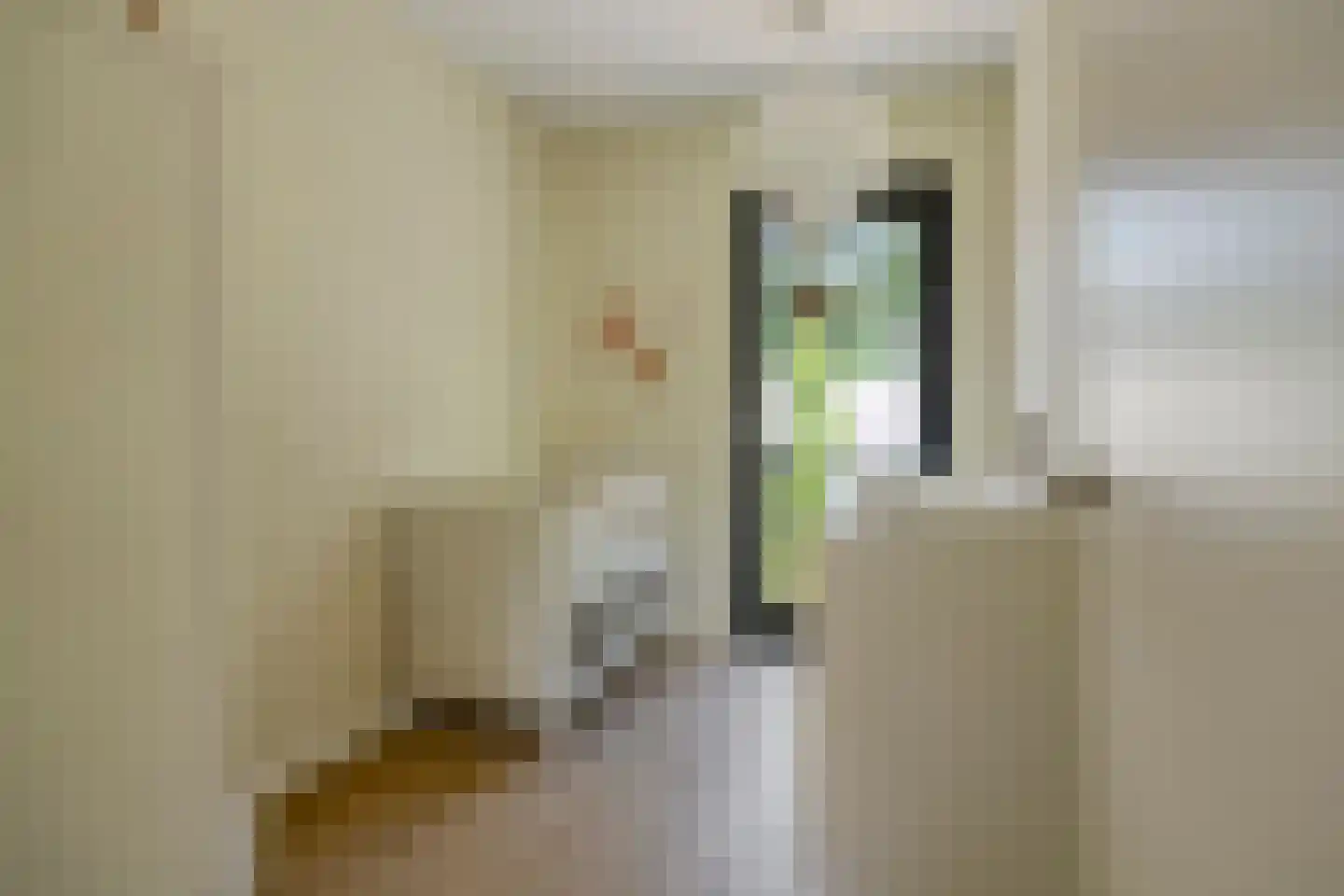 de Linge 17 Son en Breugel thumbnail 22