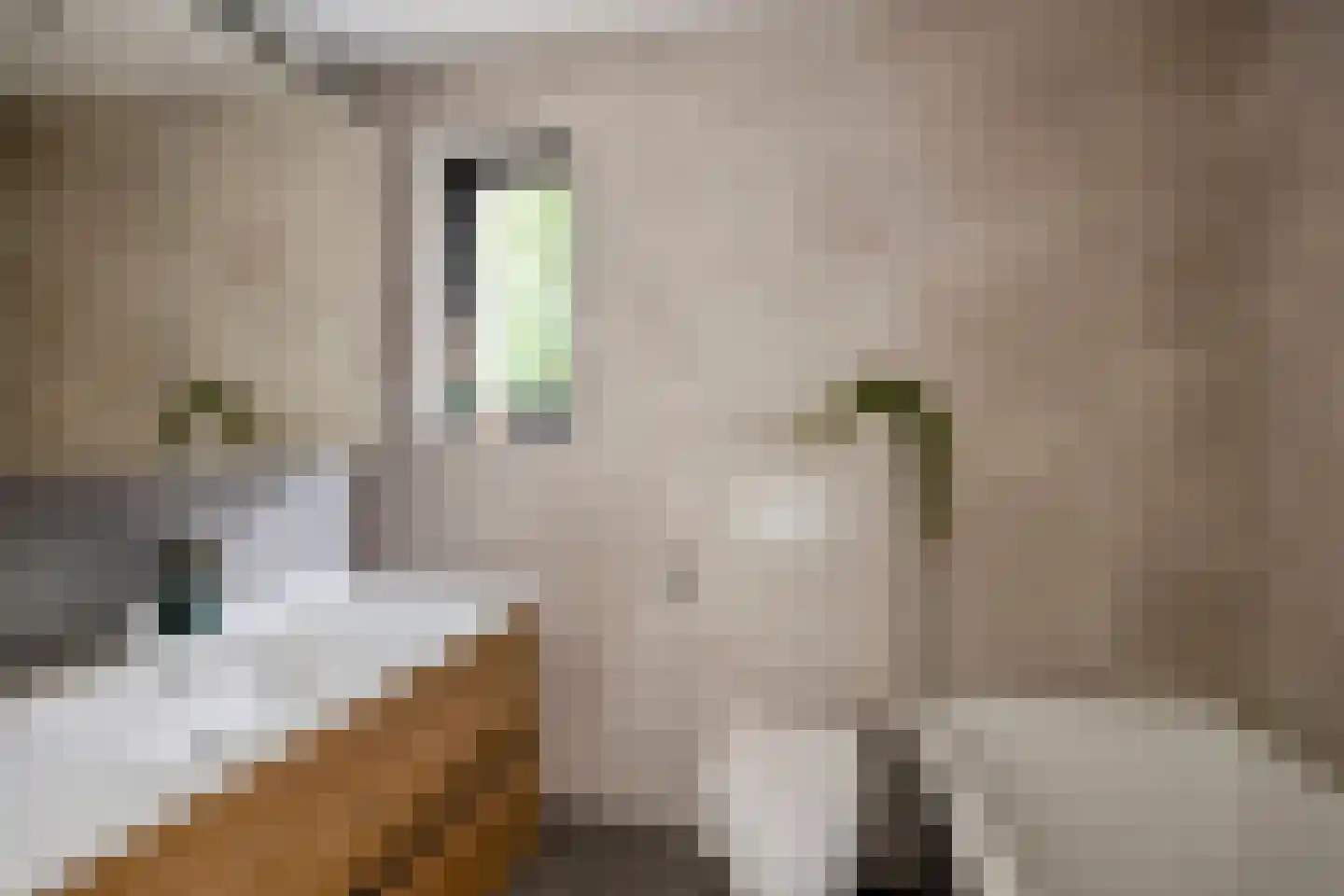 de Linge 17 Son en Breugel thumbnail 24
