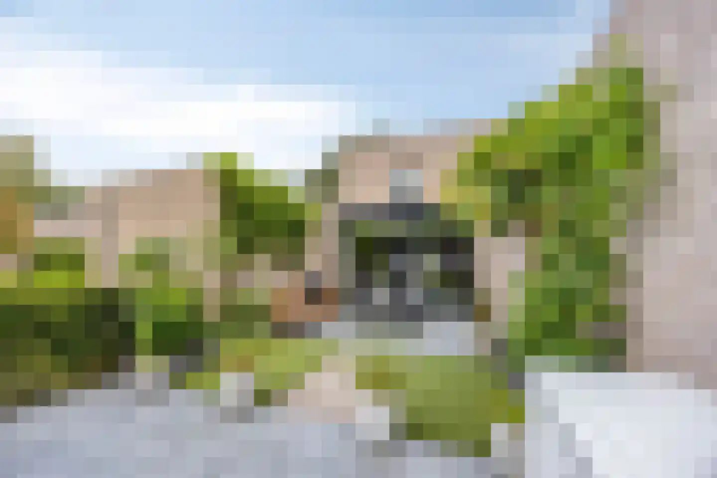 de Linge 17 Son en Breugel thumbnail 32