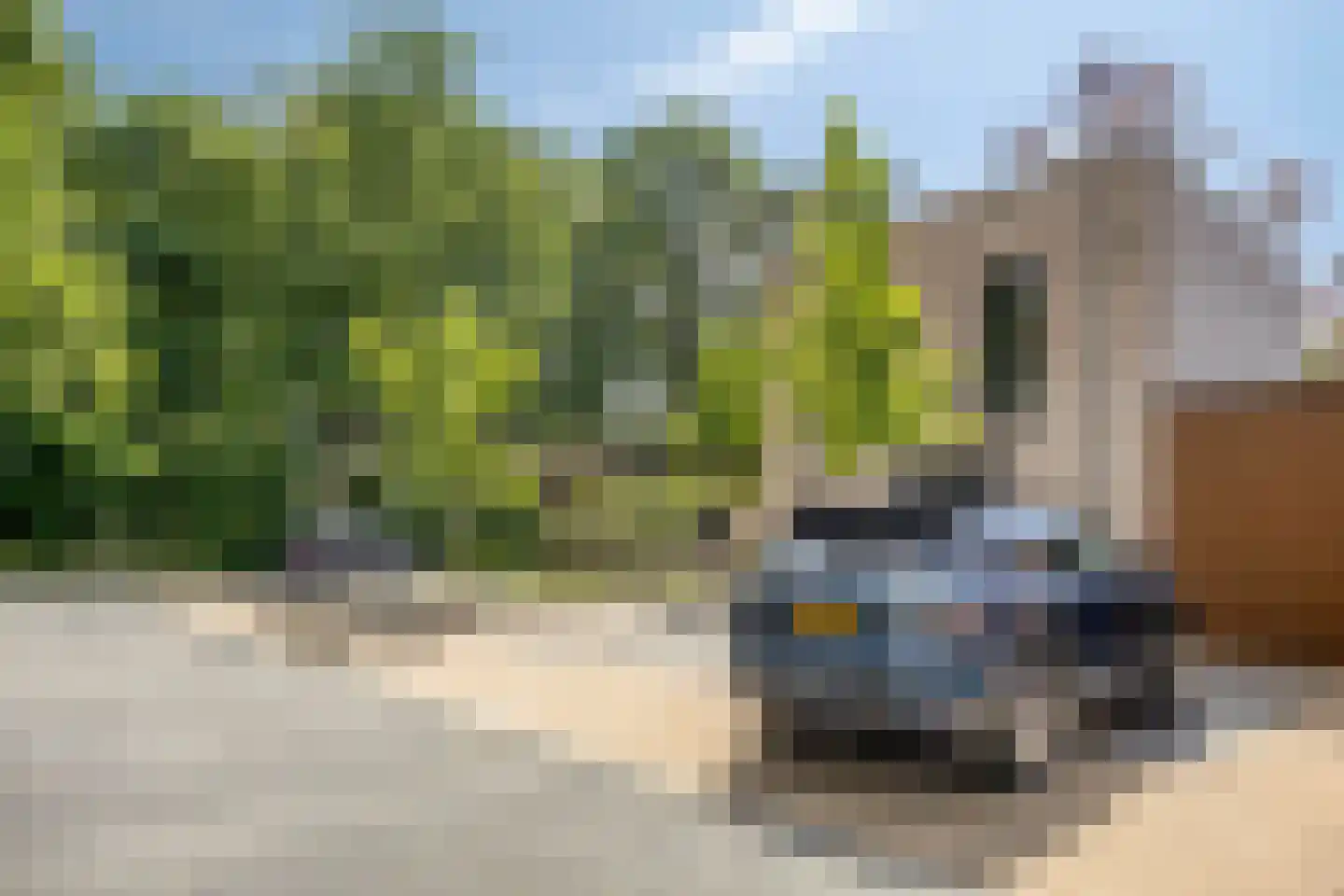 de Linge 17 Son en Breugel thumbnail 36