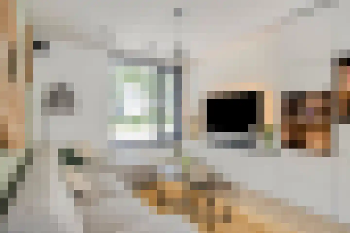 de Linge 17 Son en Breugel thumbnail 9