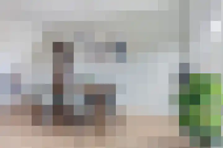 de Linge 22 Woerden thumbnail 12