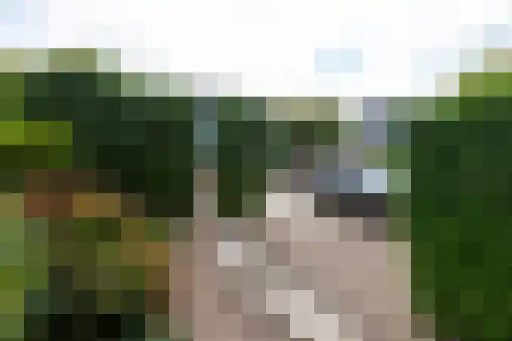 de Linge 22 Woerden thumbnail 27
