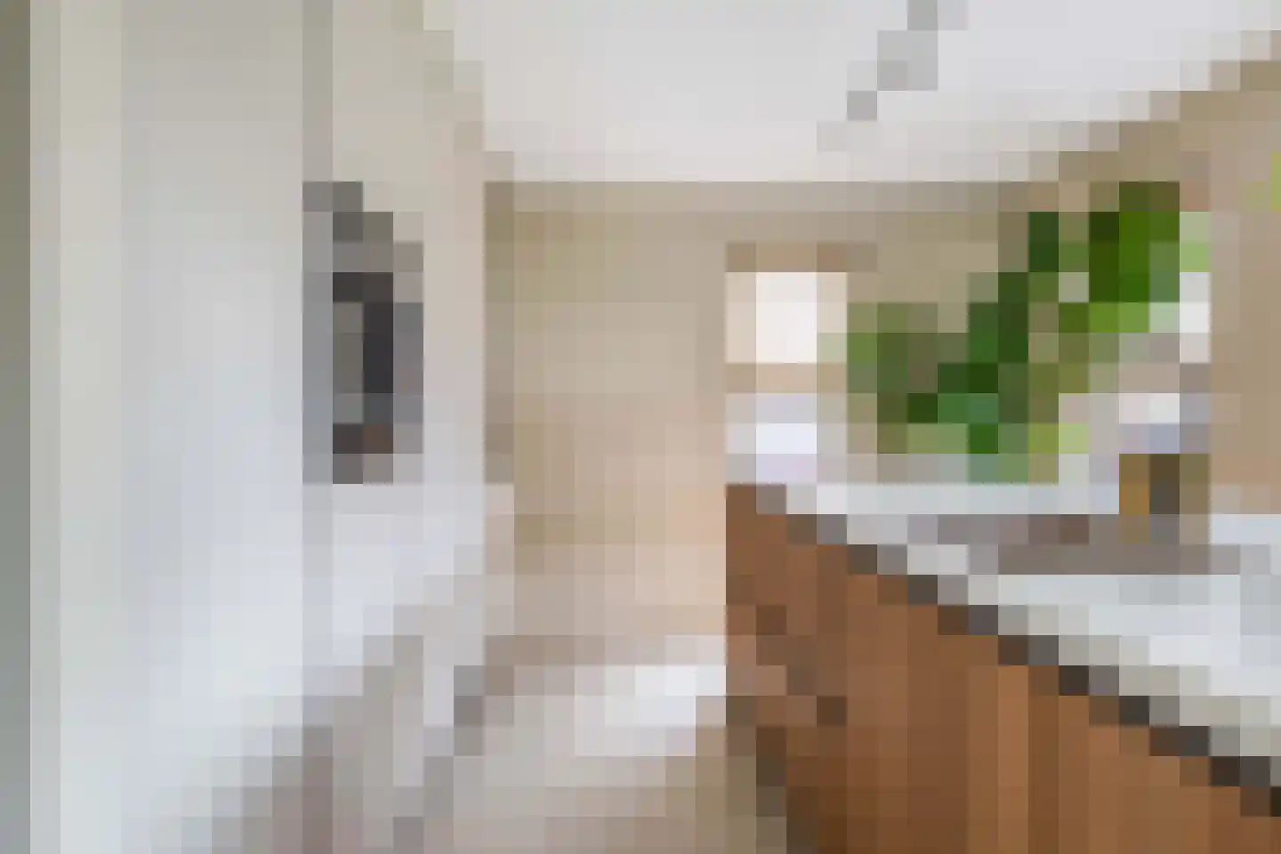 De Linge 26 Naaldwijk thumbnail 13