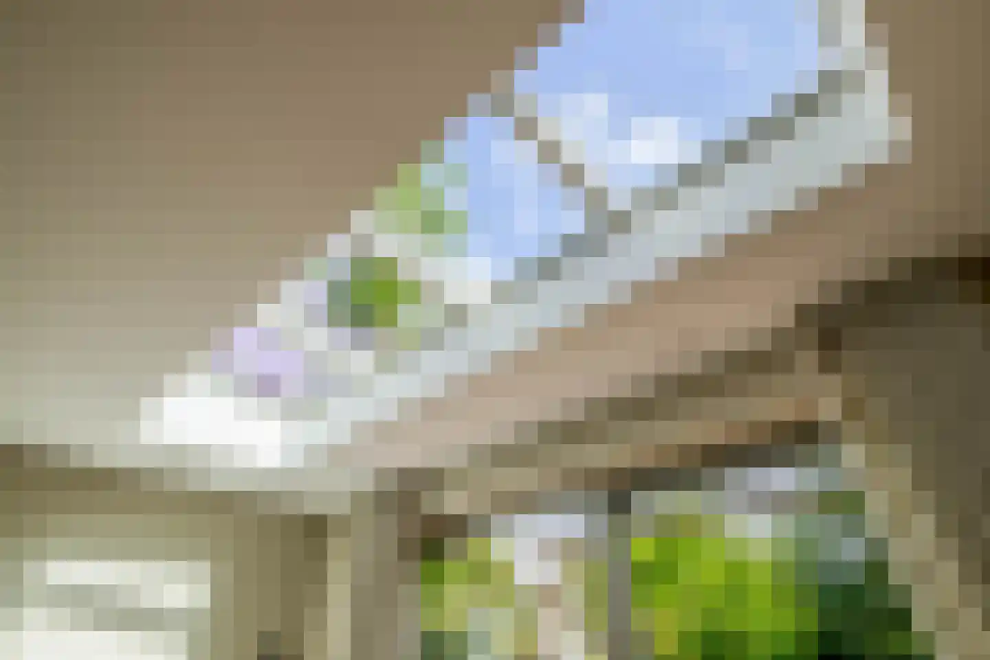 De Linge 26 Naaldwijk thumbnail 20