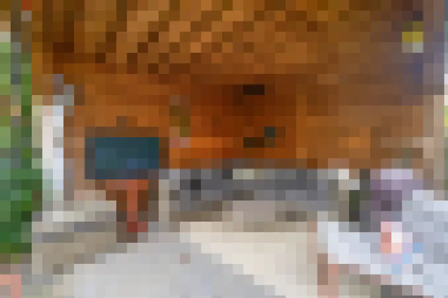 De Linge 26 Naaldwijk thumbnail 26