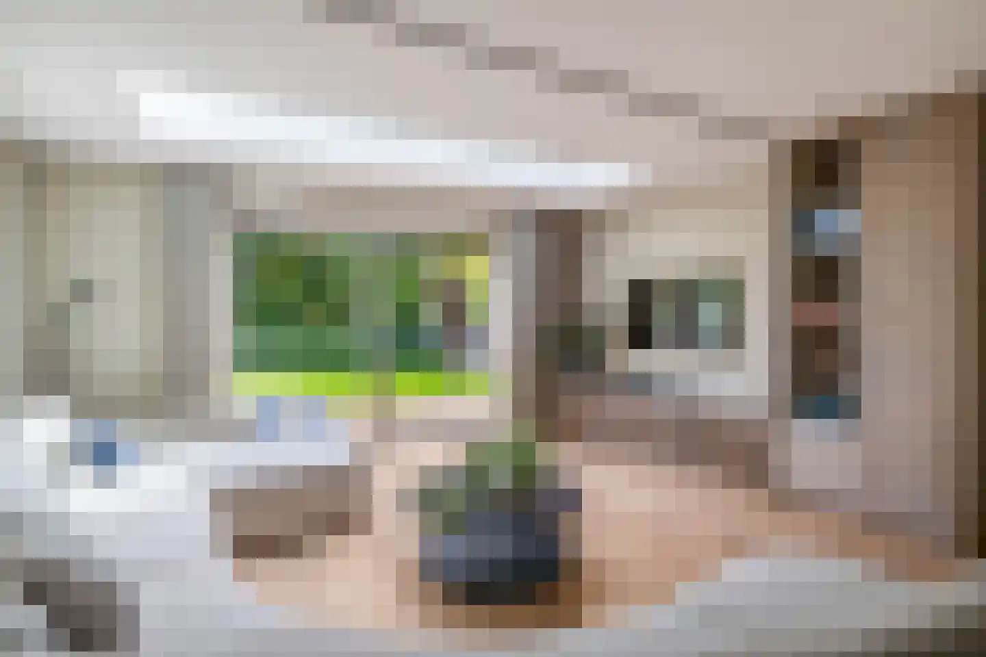 De Linge 26 Naaldwijk foto 3
