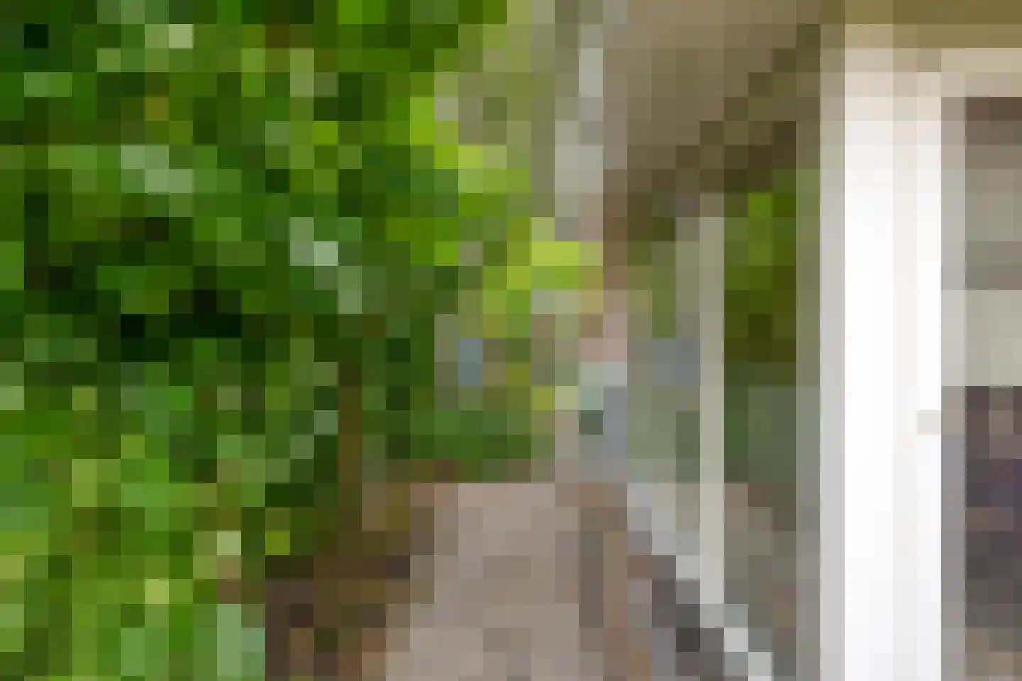 De Linge 26 Naaldwijk thumbnail 47