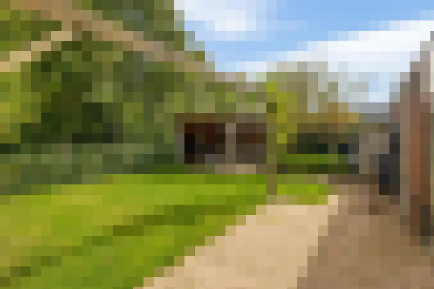 De Linge 26 Naaldwijk thumbnail 6