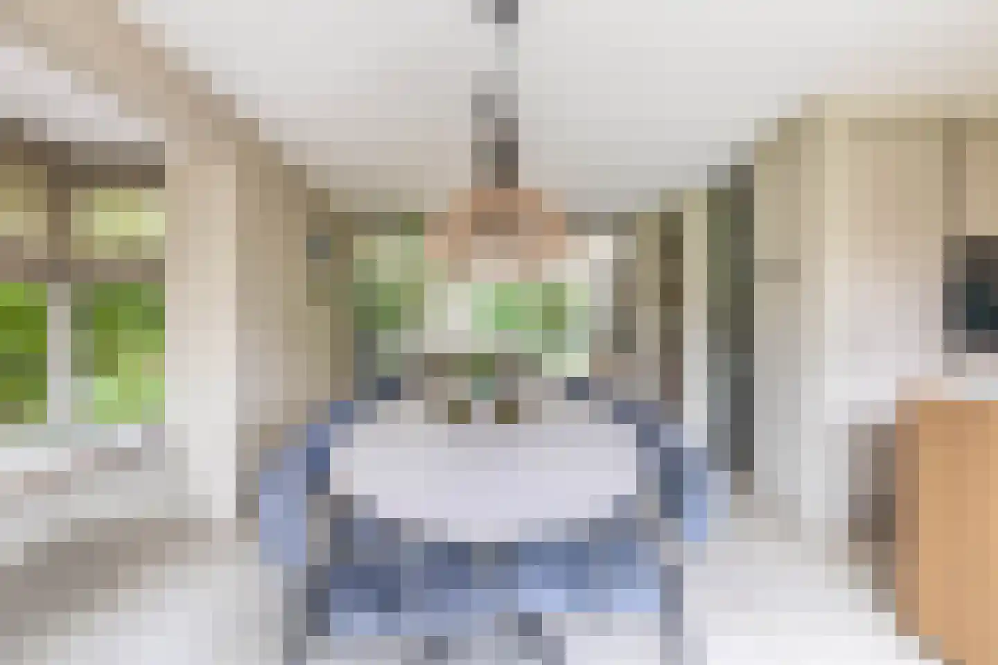 De Linge 26 Naaldwijk thumbnail 9