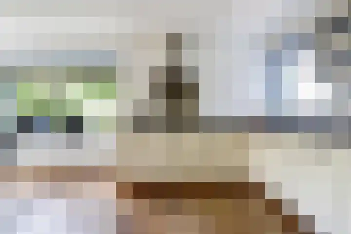 de Lingert 5155 Wijchen thumbnail 11