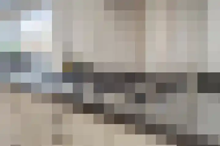 de Lingert 5155 Wijchen thumbnail 14