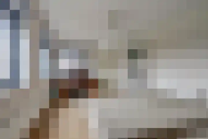 de Lingert 5155 Wijchen thumbnail 21