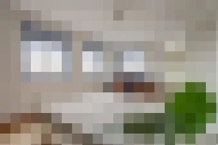 de Lingert 5155 Wijchen thumbnail 24