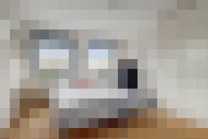 de Lingert 5155 Wijchen thumbnail 26