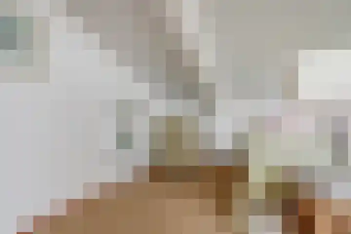 de Lingert 5155 Wijchen thumbnail 42