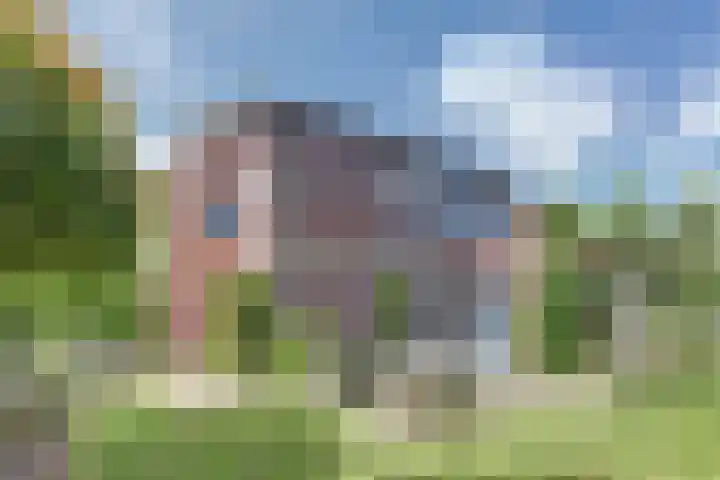 de Lingert 5155 Wijchen thumbnail 45
