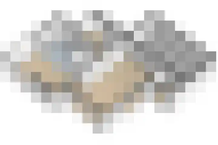 de Lingert 5155 Wijchen thumbnail 60